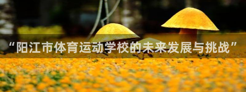  3377体育在哪个国家运营：“阳江市体育运动学校的未来发展与