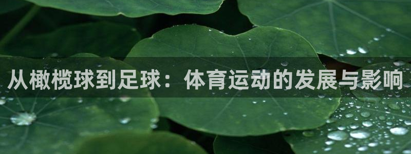 3377体育在哪个国家运营：从橄榄球到足球：体育运动的发展与