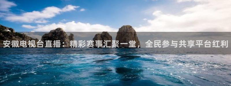 360雨燕足球直播：安徽电视台直播：精彩赛事汇聚一堂，全民参与共享平台红利