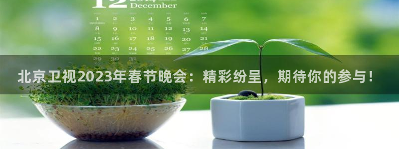 雨燕体育免费直播nba：北京卫视2023年春节晚会：精彩纷呈，期待你的参与！