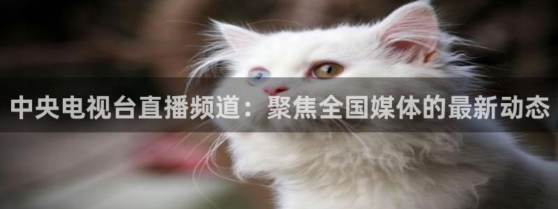 免费足球直播雨燕：中央电视台直播频道：聚焦全国媒体的最新动态