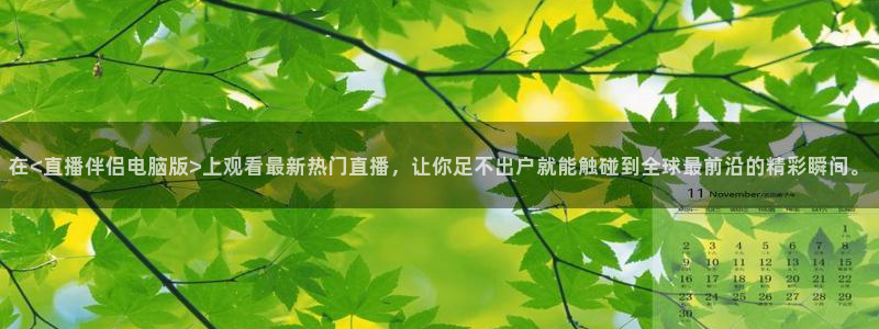 雨燕nba免费直播视频在线直播：在<直播伴侣电脑版>上观看最新热门直播，让你足不出户就能触碰到全球最前沿的精彩瞬间。