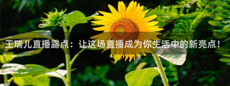 免费雨燕体育直播在线看：王瑞儿直播露点：让这场直播成为你生活中的新亮点！