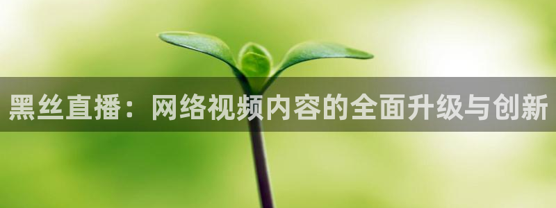 雨燕直播足球比赛平台：黑丝直播：网络视频内容的全面升级与创新